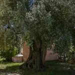 Iris & Asfodelo Apartment Dorgali