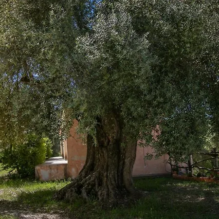 Muristene Apartment Dorgali