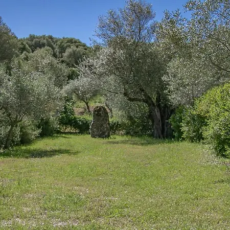 Apartment Muristene Dorgali